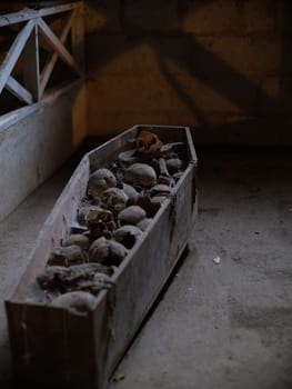 Skull and bones in ancient ossuary, Naples