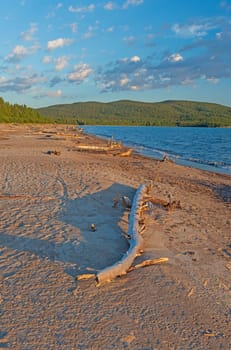 Driftwood and Sand in the Evening at Neys Provincial Park in Ontario