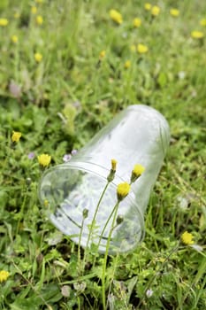 Detail of garbage and pollution in nature