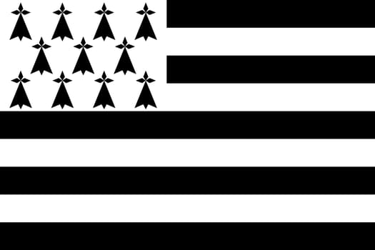 Top view of flag Brittany, Gwenn ha du, France. French patriot and travel concept. no flagpole. Plane design, layout. Flag background