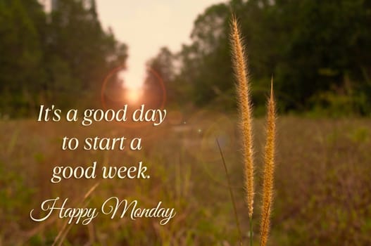 Is a good day to start a good week. Happy Monday concept.