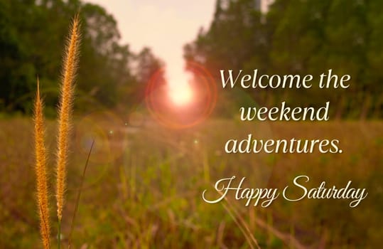 Welcome the weekend adventures. Happy Saturday greetings.
