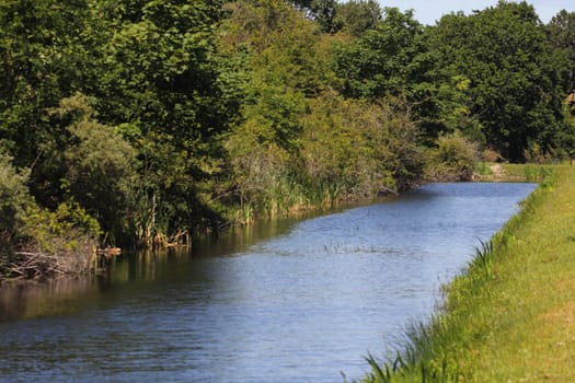 a natural landscape on the shores of an idyllic lake