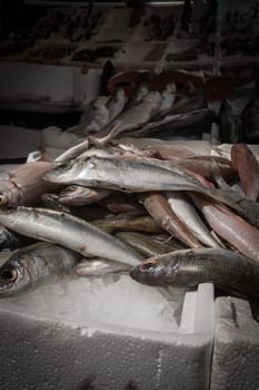 Mediterranean fish exposed in open market in Napoli