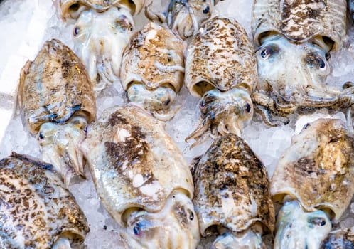Cuttlefish in open seamarket, Napoli