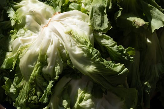 Various vegetables exposed in open market