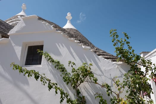 View of Trulli houses in Alberobello, Italy