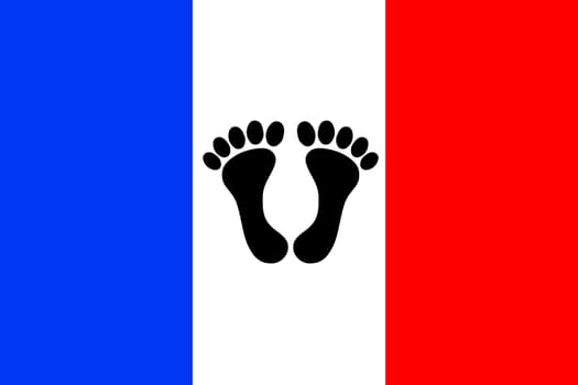 Fabric texture of the flag of France