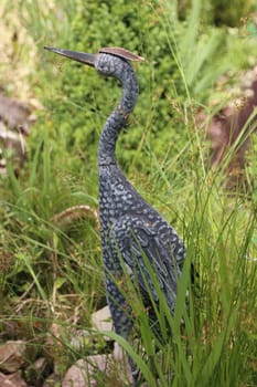 The Great Blue Heron (Ardea cinerea) is a bird species from the order of the Ciconiiformes