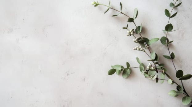 A plant with white flowers and green leaves is thriving in a garden. The delicate white blossoms contrast beautifully with the rich green foliage, creating a striking natural display.