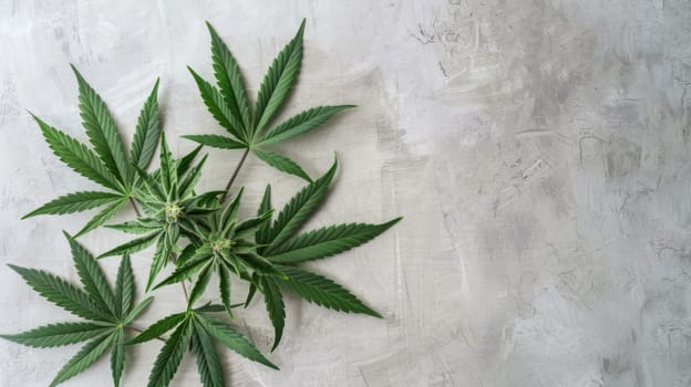 Numerous vibrant green leaves are scattered across a clean white surface, creating a visually striking contrast. The leaves vary in size and shape, showcasing intricate details such as veins and textures.