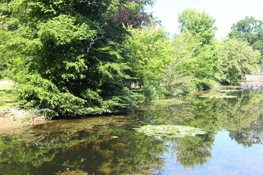 A small pond with green trees in the background