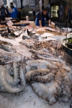 Octopus in open seamarket, Napoli