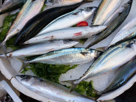 Mediterranean Fish in open seamarket, Napoli