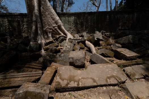 angkor thom, the best archeological site, Cambodia