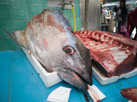 Mediterranean Fish in open seamarket, Napoli