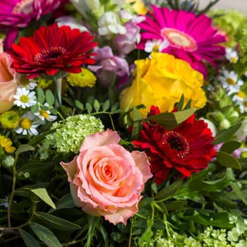 floral background - bouquet of colorful flowers
