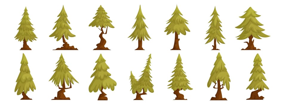 Set of forest trees pine, green tall spruce, European spruce, evergreen conifer. Interesting shaped pine tree
