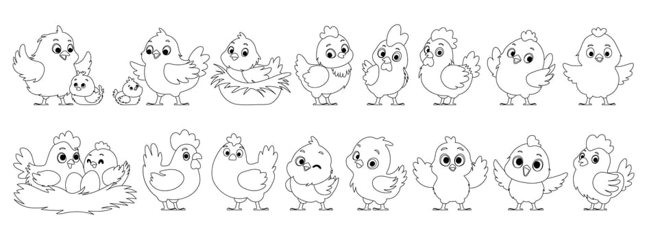 Large set of chicken family in lineart. Chickens, Hen hatches eggs. Mother hen and chicks. Big and small roosters. Chicken and rooster in the nest. Black lines style.