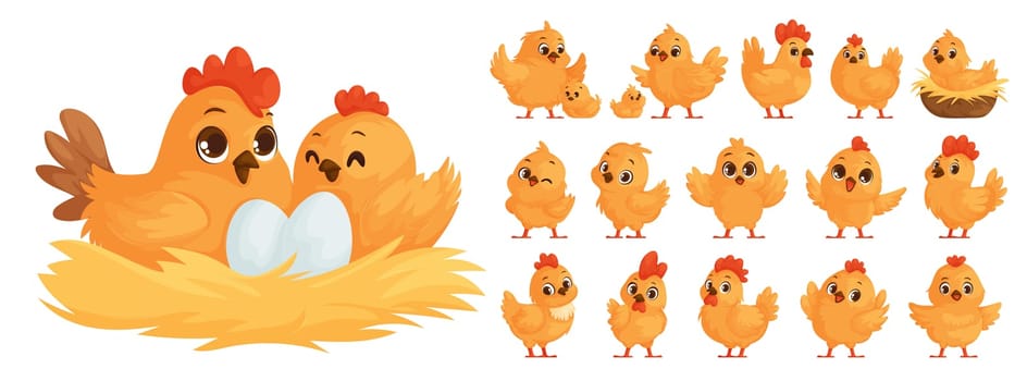 Large set of chicken family. Yellow chickens, Hen hatches eggs. Mother hen and chicks. Big and small roosters. Chicken and rooster in the nest.
