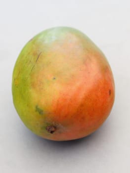 Mango fruits are counted as fruit. There are now over 1000 types of mango that differ in shape, size and taste.