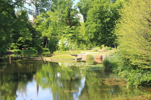 A small pond with green trees in the background