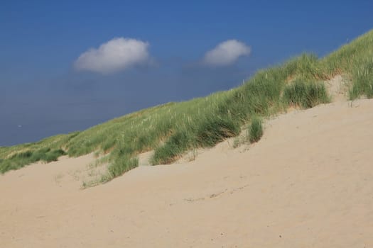 A dune landscape on the North Sea coast in the Netherlands