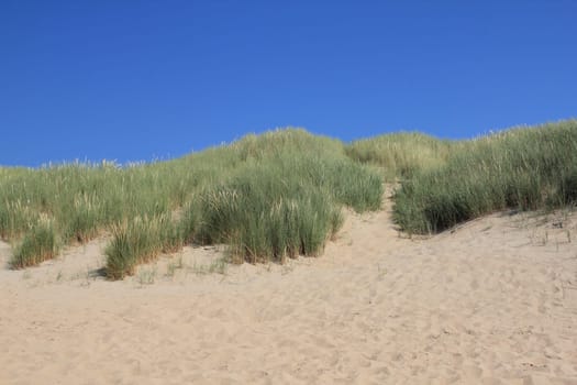 A dune landscape on the North Sea coast in the Netherlands