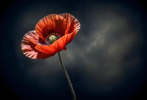AI generated of a red poppy with a dark background and a dark sky behind it