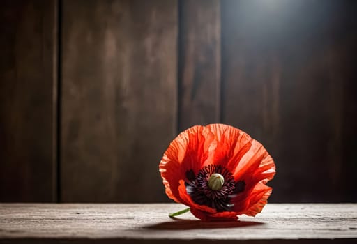 AI generated of a red poppy is on a wooden table with a dark background and sun shinning on it