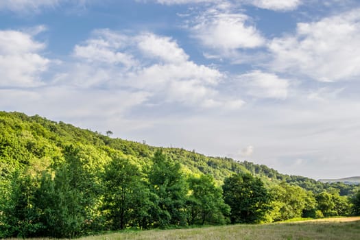 Summer Landscape Hills and Horizon