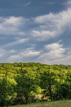 Summer Landscape Hills and Horizon