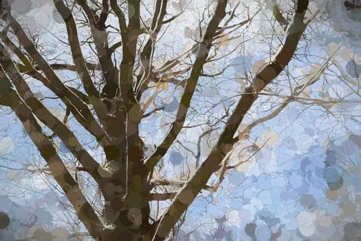 Digital Illustration Snow and Trees Scenery