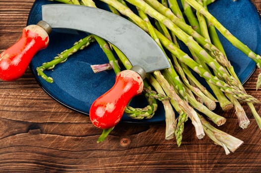Uncooked raw and fresh asparagus on rustic wooden table.