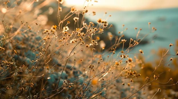 Immerse yourself in the enchanting beauty of wildflowers against the picturesque backdrop of the coast. With a focus on vibrant plants and dreamy bokeh, this captivating scene evokes a sense of serenity and wonder, inviting you to bask in the harmony of nature's embrace.