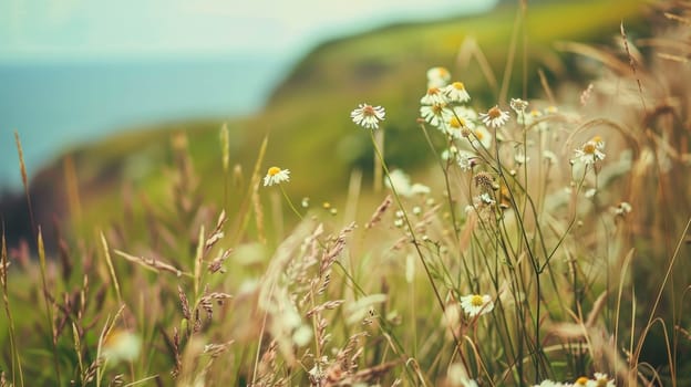 Immerse yourself in the enchanting beauty of wildflowers against the picturesque backdrop of the coast. With a focus on vibrant plants and dreamy bokeh, this captivating scene evokes a sense of serenity and wonder, inviting you to bask in the harmony of nature's embrace.