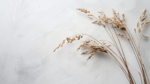 A group of tangled, dried grass stems and leaves is scattered on a white background. The grass appears brittle and lifeless, with a mix of yellow and brown hues.