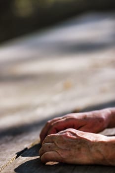 In a serene forest setting, the aged hands of an elderly woman stand out. Bearing the marks of a lifetime, they speak of decades of toil and deep-felt experiences