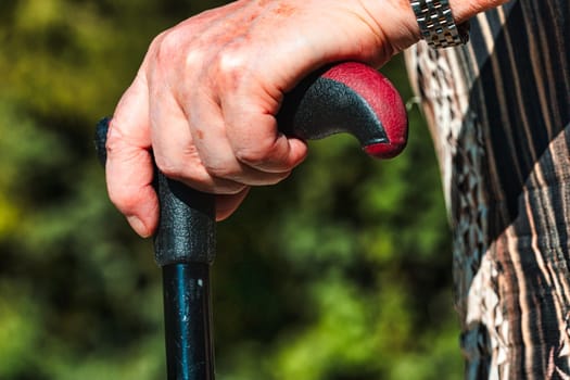 Old woman's spotted hand rests on a walking stick, as she strolls outdoors. Walking aids her circulation, reduces leg swelling, and enjoys the manifold health benefits of daily movement