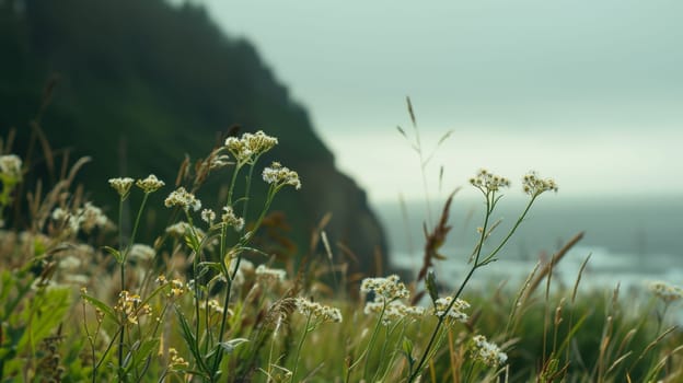Behold the vibrant tapestry of wildflowers against the picturesque backdrop of the coast, where nature's splendor takes center stage. With a focus on the intricate details of the plants, the ethereal bokeh adds a touch of magic, transforming the scene into a whimsical paradise.