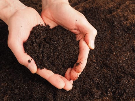 Farmer's hands holding nutrient-rich soil in the shape of a heart, healthy soil for sowing as a sign of environmental protection