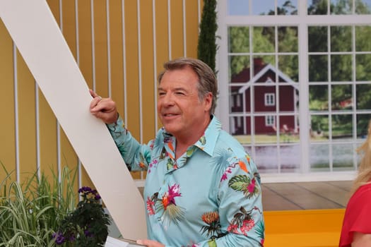 Patrick Lindner (singer / artist) in the ARD TV show "Immer wieder sonntags""."