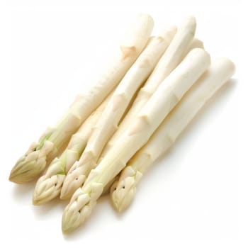 Fresh white asparagus spears isolated on a white background