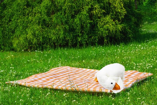 Orange picnic cloth. Red checked picnic blanket with a plush toy duck for kids on a meadow with daisies in bloom. Beautiful backdrop. Copy space.