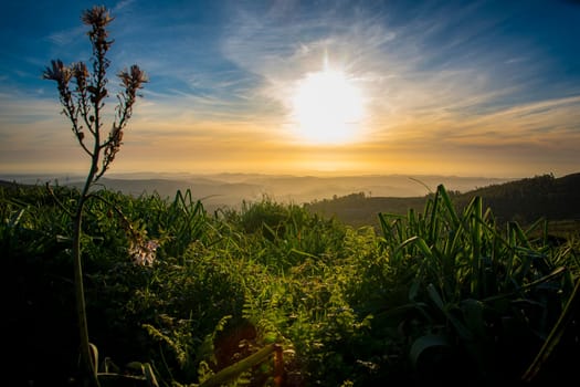 Low angle view at serra de Monchique landscape at Mount Foia during sunset, in the Algarve, Portugal