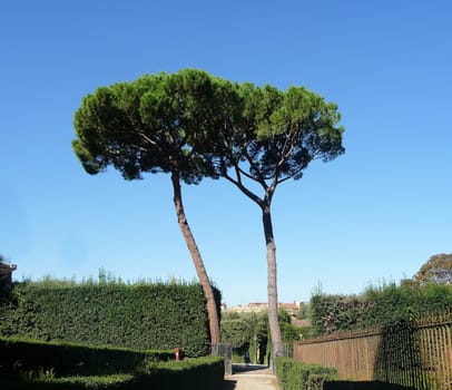 Florence Italian: Firenze is a city in central Italy and the capital city of the Tuscany region.