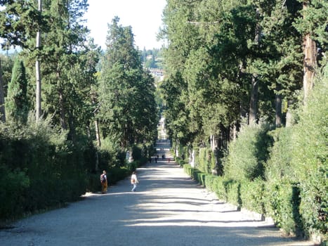 Florence Italian: Firenze is a city in central Italy and the capital city of the Tuscany region.