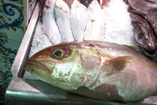 diverse Fische in der Kühltheke auf dem Fischmarkt des Mercado Nuestra Senora de Africa, Teneriffa, Kanarische Inseln, Spanien,Santa Cruz de Tenerife