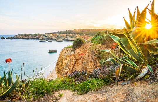 Praia do Alemão overlooked in the sunset from the rugged flowery coastline  near Portimão in the Algarve, Portugal