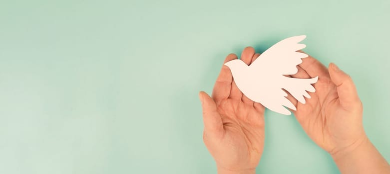 Dove flying from hand, symbol of peace and faith, freedom, charity and help concept, humanitarian aid